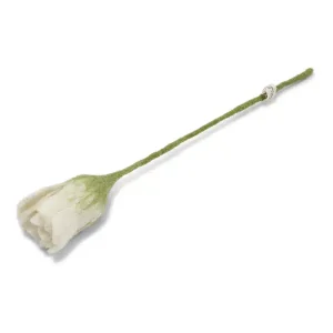 Tulipan Hvid – En Gry og Sif